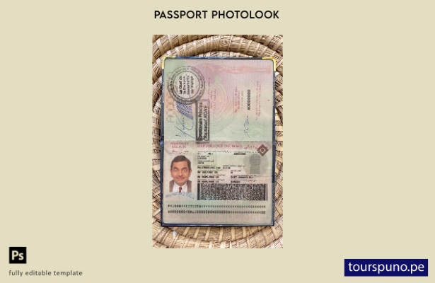 Plantilla de apariencia de foto de pasaporte de Malí lista para imprimir